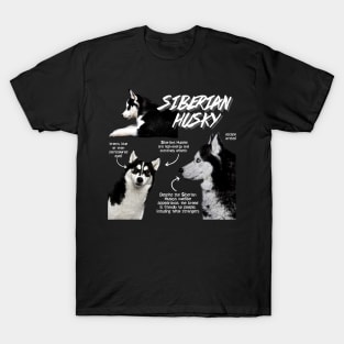 Siberian Husky Fun Facts T-Shirt